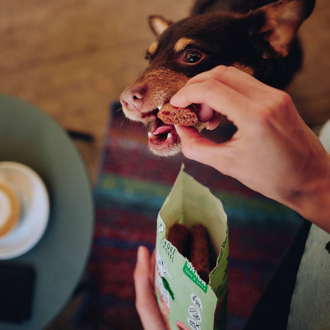 Dentals Vegdog
