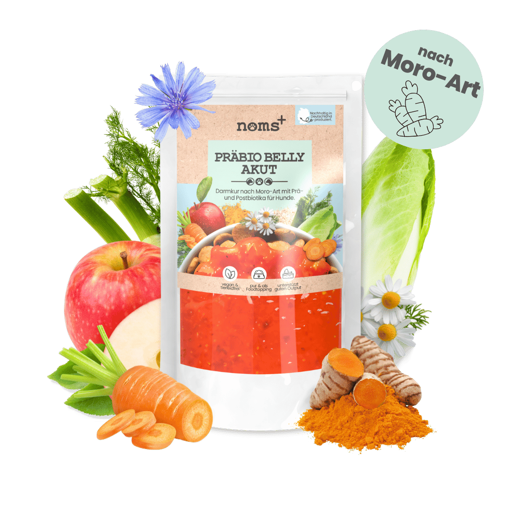 Präbio Belly Akut : cure intestinale à base de plantes pour chiens selon la méthode Moro