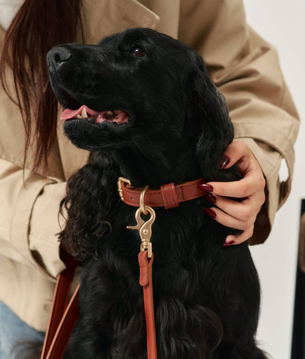 Laisse en Cuir Végan Marron 1,4m Jala
