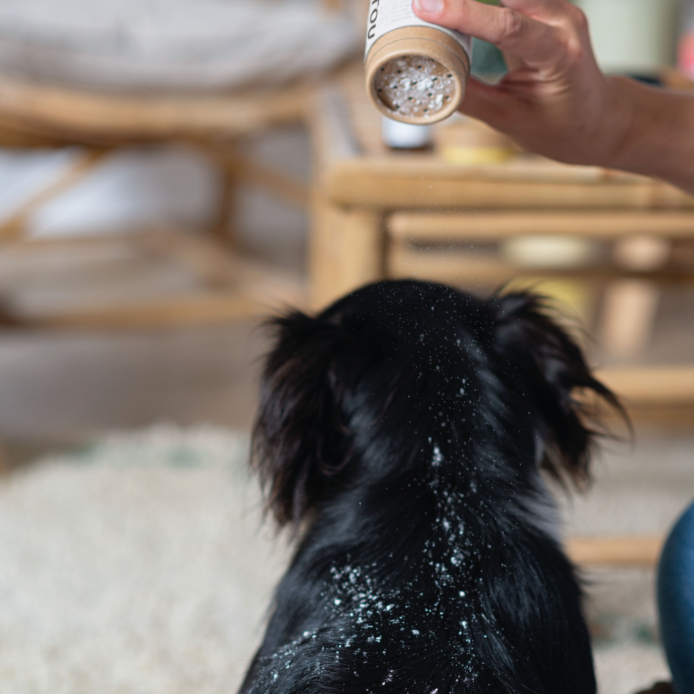 🌿 Shampoing sec Toutou Petcare certifié bio