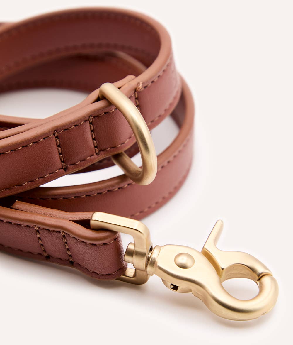 Laisse en Cuir Végan Marron 1,4m Jala