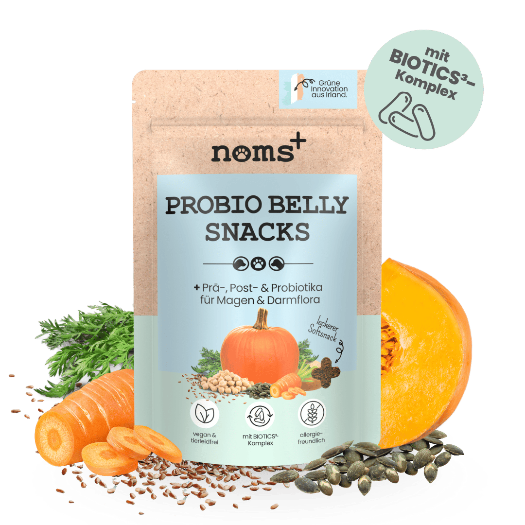Probio Belly Snacks pour chiens avec complexe BIOTICS³ : Prébiotiques, Probiotiques & Postbiotiques