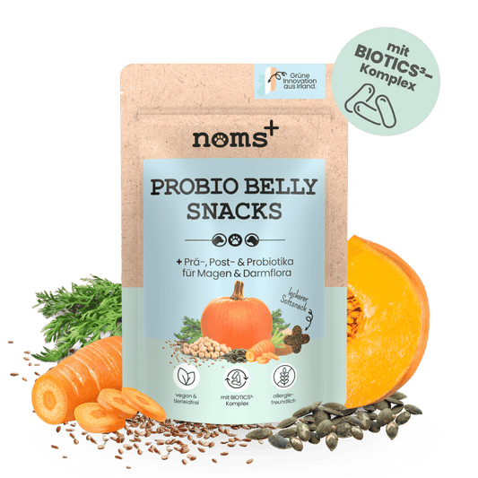 Probio Belly Snacks pour chiens avec complexe BIOTICS³ : Prébiotiques, Probiotiques & Postbiotiques
