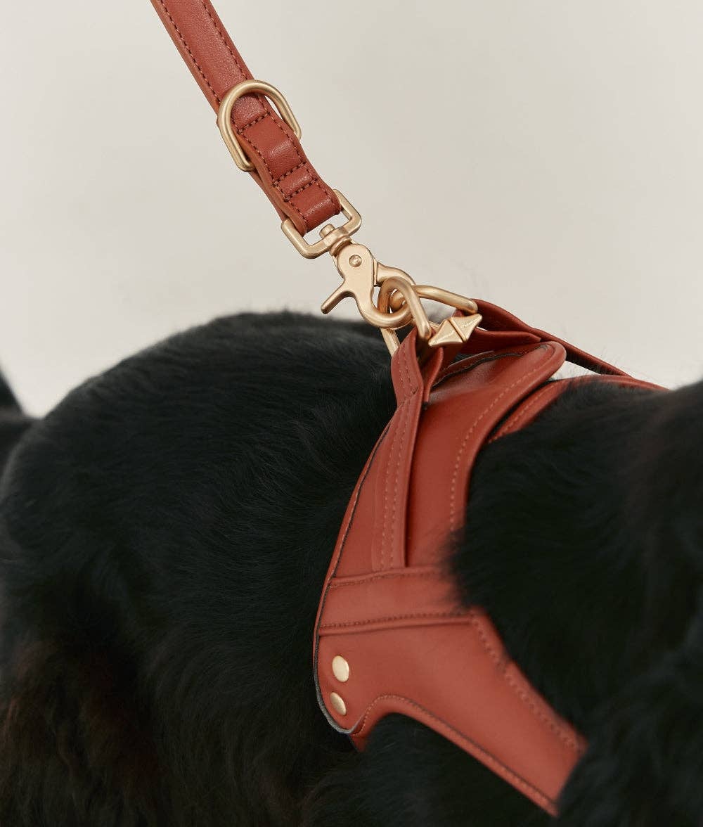 Laisse en Cuir Végan Marron 1,4m Jala