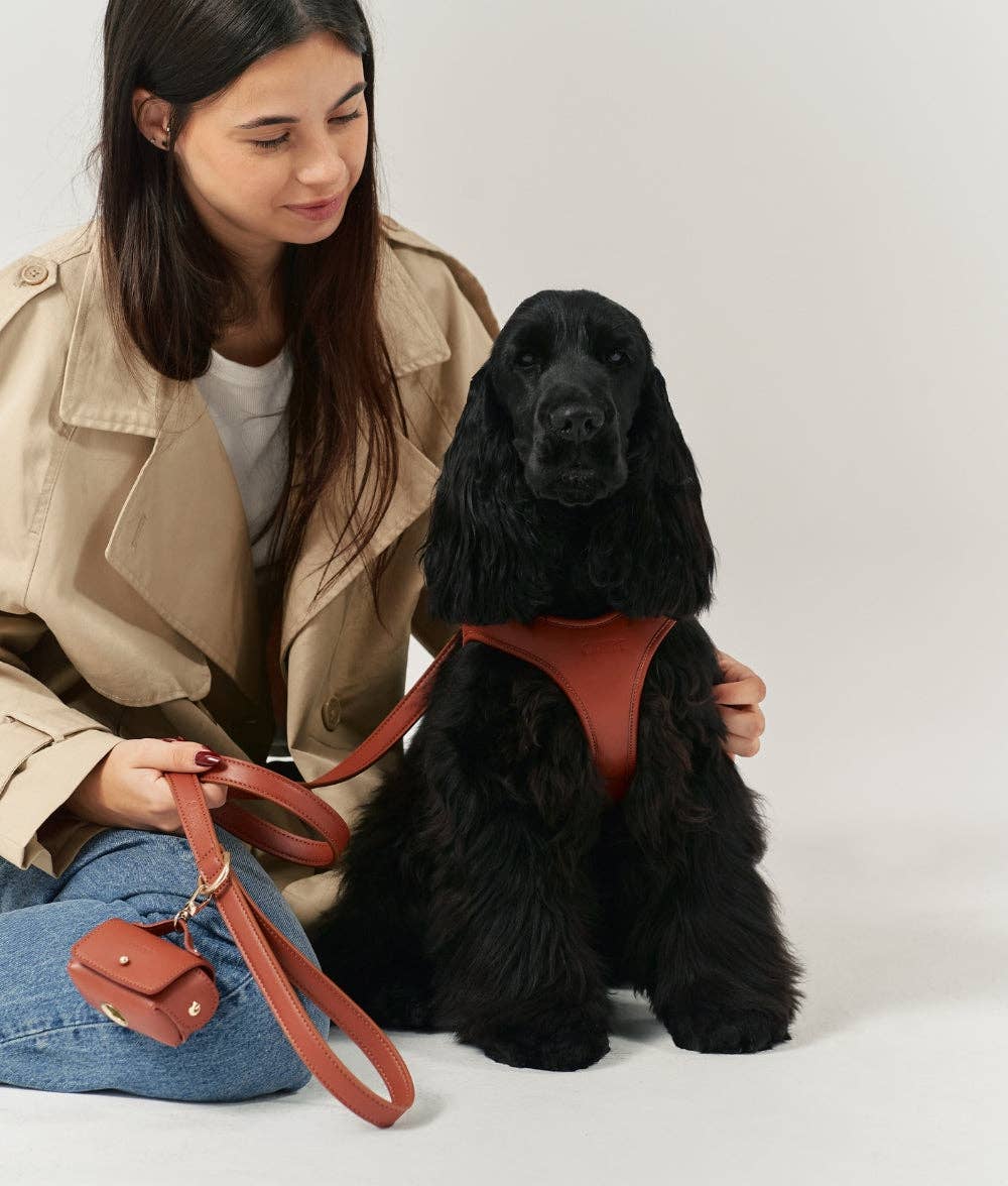 Laisse en Cuir Végan Marron 1,4m Jala